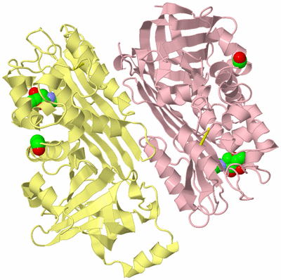 Image Biological Unit 2