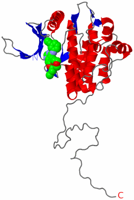 Image Theoretical Model