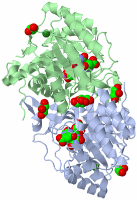 Image Asym./Biol. Unit