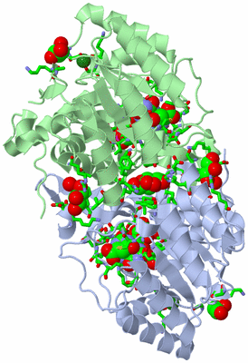 Image Asym./Biol. Unit - sites