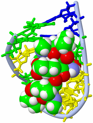 Image NMR Structure - model 1