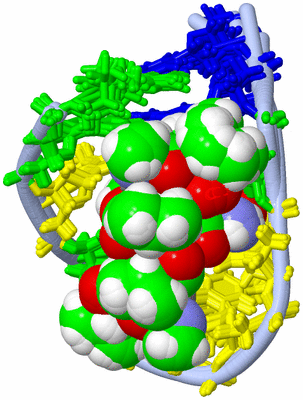 Image NMR Structure - all models