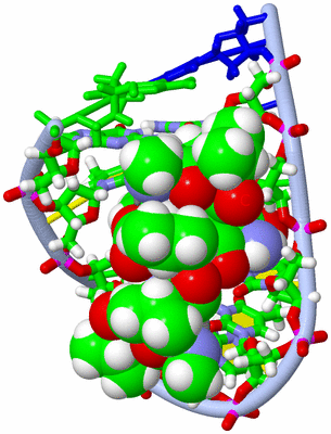 Image NMR Structure - model 1, sites