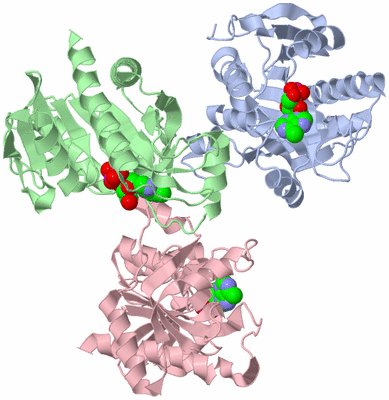 Image Asymmetric Unit