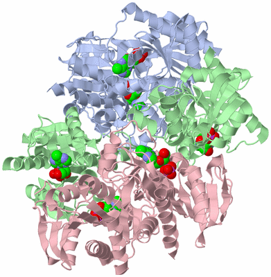 Image Biological Unit 1