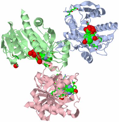 Image Asym. Unit - sites