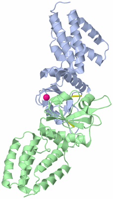 Image Asym./Biol. Unit