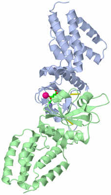 Image Asym./Biol. Unit - sites