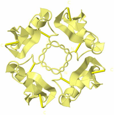 Image Biological Unit 3