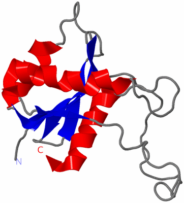 Image NMR Structure - model 1