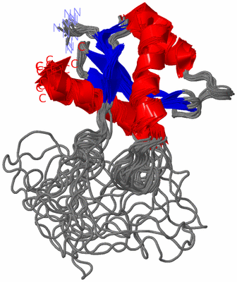 Image NMR Structure - all models