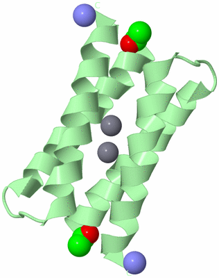 Image Biological Unit 2