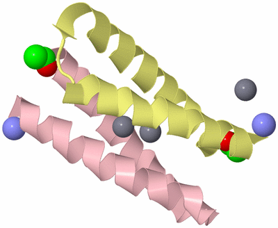 Image Biological Unit 3