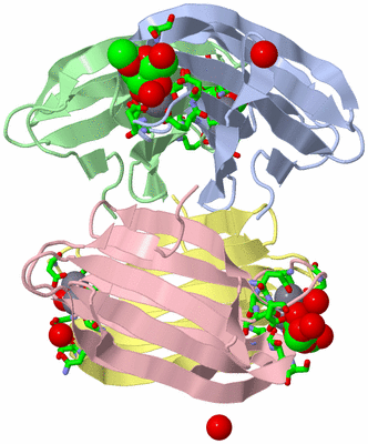 Image Biol. Unit 1 - sites