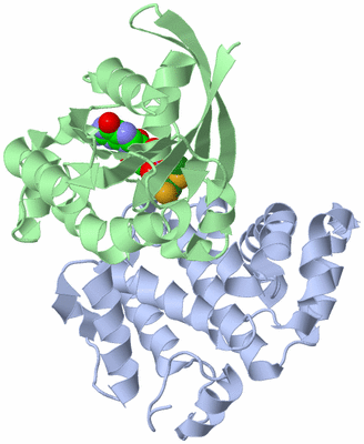 Image Asym./Biol. Unit