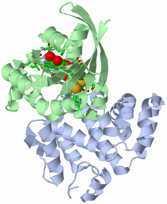 Image Asym./Biol. Unit - sites