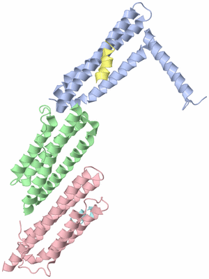 Image Asymmetric Unit