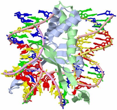 Image Asym./Biol. Unit