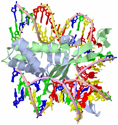 Image Asym./Biol. Unit