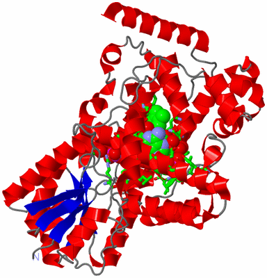 Image Asym./Biol. Unit - sites