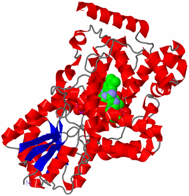 Image Asym./Biol. Unit