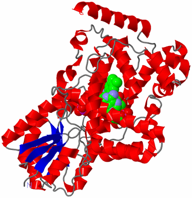 Image Asym./Biol. Unit