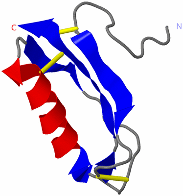 Image NMR Structure - model 1