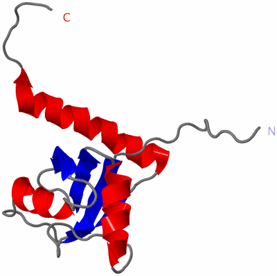 Image NMR Structure - model 1