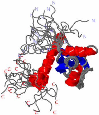 Image NMR Structure - all models