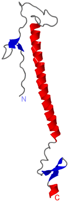 Image Asymmetric Unit