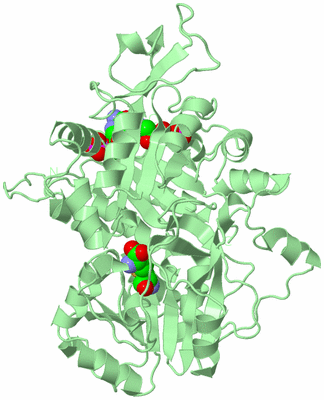 Image Biological Unit 2