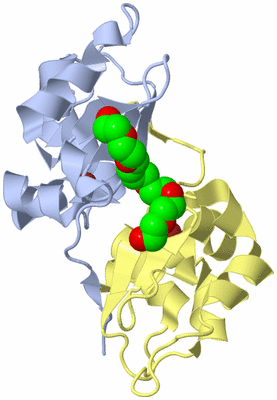 Image Biological Unit 10