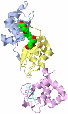 Image Biological Unit 7