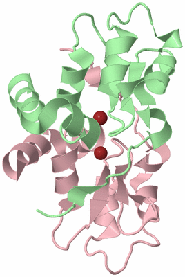 Image Biological Unit 8