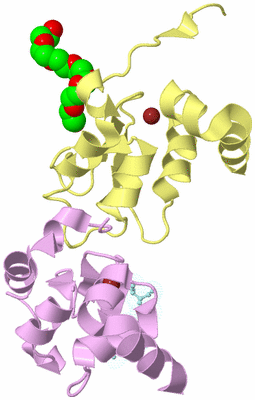 Image Biological Unit 9