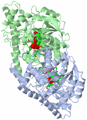 Image Asym./Biol. Unit - sites