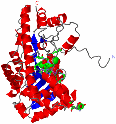 Image Asym. Unit - sites