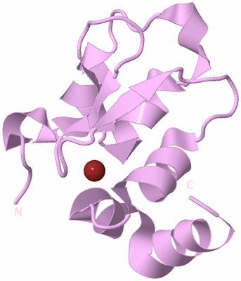 Image Biological Unit 11