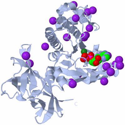 Image Biological Unit 1