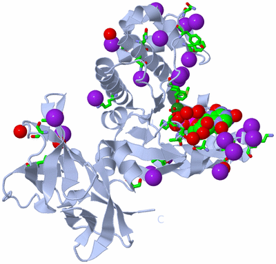 Image Biol. Unit 1 - sites