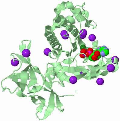 Image Biological Unit 2