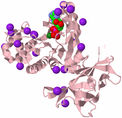 Image Biological Unit 3