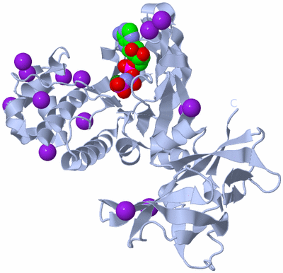 Image Biological Unit 1