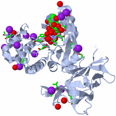 Image Biol. Unit 1 - sites