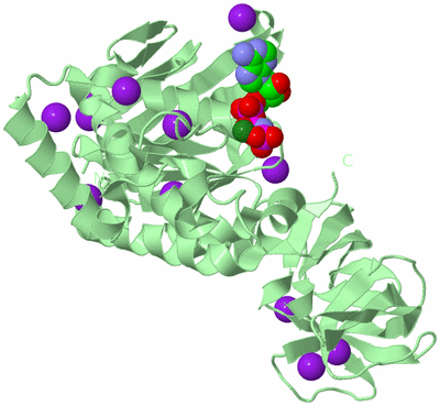 Image Biological Unit 2