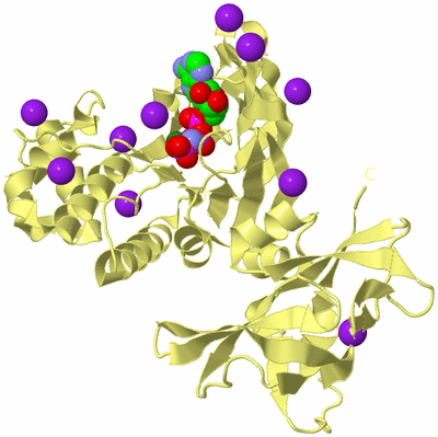 Image Biological Unit 3