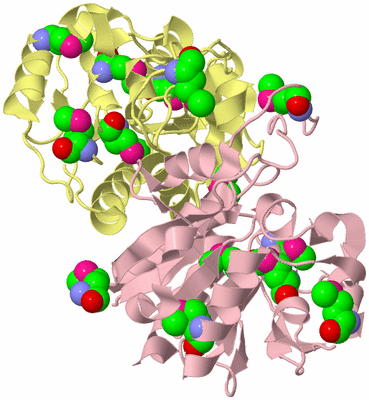 Image Biological Unit 2