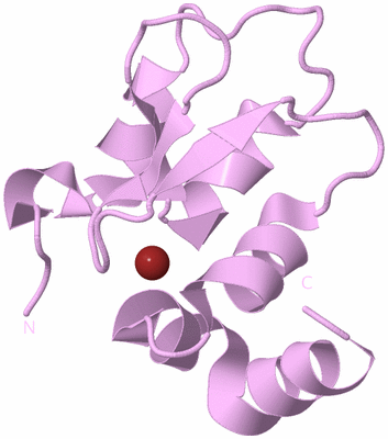 Image Biological Unit 8