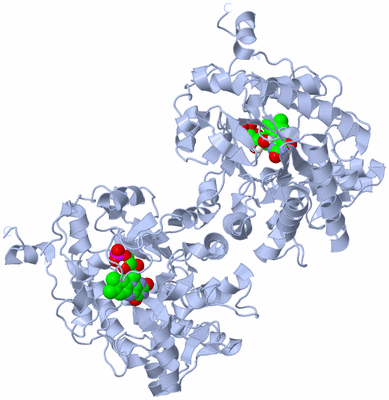 Image Biological Unit 1