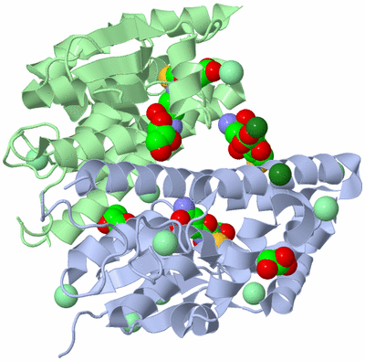 Image Biological Unit 1